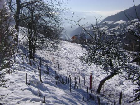 Petite promenade pr�s de chez nous