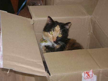 Exp�dition gratuite!