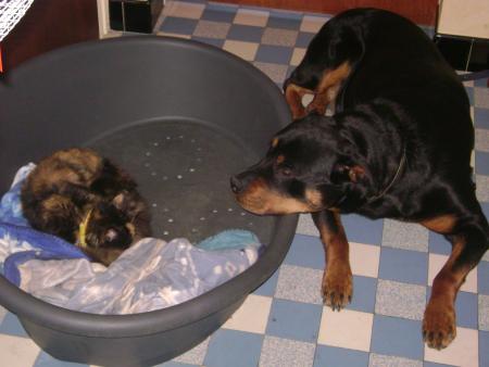 Comme elle est belle!!!