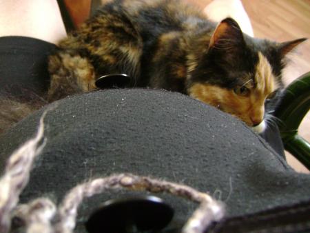 Chaussette aussi elle en a marre...