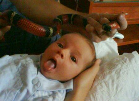 Aelig l'aventurier...